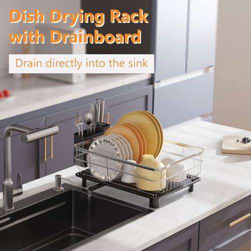 AIDERLY Stainless Steel Dish Drying Rack Dish Drainer, Black