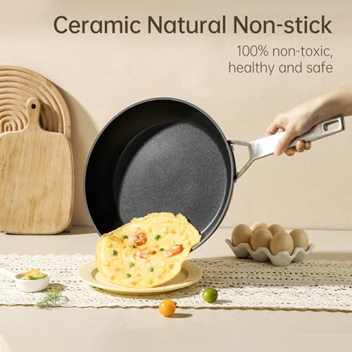 MsMk 8 inch Small Frying Pan with Lid, Burnt also Non stick Omelette pan, PFOA Free Non-Toxic, Scratch-resistant, for gas, electric and induction