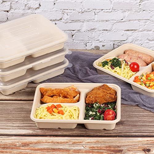 JAYEEY 23 oz 3 Compartments disposable plates with Lids Plant Fiber 50 Pack