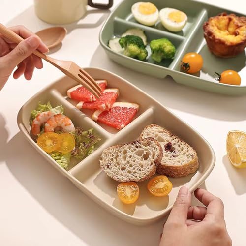 Divided Plates 10.5 Inch for Adults, Portion Control Bariatric Plate, Wheat Straw Plates with 3 Compartments, Unbreakable Reusable Portion Control Plates, BPA Free(4PCS) (INS Series-4PACK)
