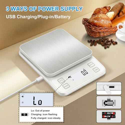22lb Rechargeable Stainless Steel Scale, Diyife Large Kitchen Food Scale with 0.1g/0.001oz High Precision, LCD Display, 10 Unit, Waterproof IPX67, Washable, Hangable, for Baking, Cooking, White