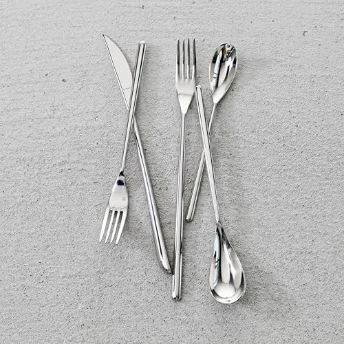 Fortessa Dragonfly 18/10 Stainless Steel Flatware, 5 Piece Place Setting, Service for 1