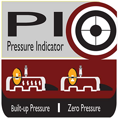 PRESTIGE Deluxe Alpha Induction Base Pressure Pan, Senior, Stainless Steel