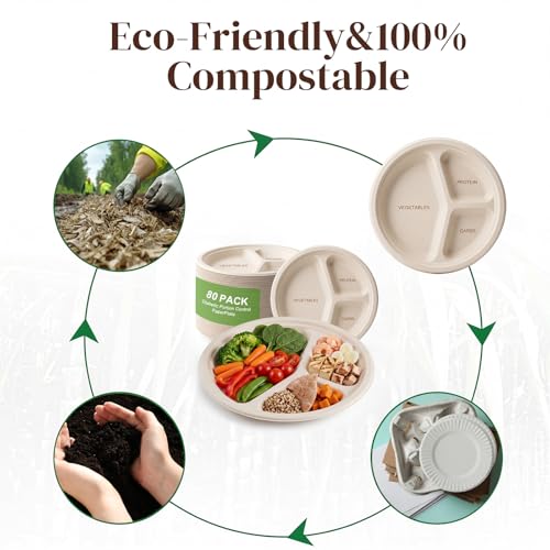 Havawish 80 Pack 10" Disposable Portion Control Plates for Adults
