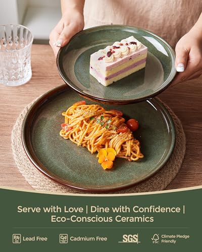 Pokini Stoneware Dinnerware Sets Service for 4, 12 pcs Reactive Glaze Plates and Bowls Sets, Handmade Ceramic Dish Set, Highly Chip and Crack Resistant Modern Plate Set, Brown Green