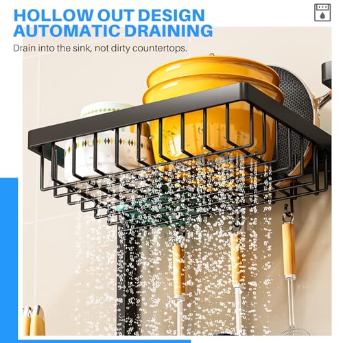 ARSTPEOE Large Over The Sink Dish Drying Rack 2 Tiers 4 Baskets