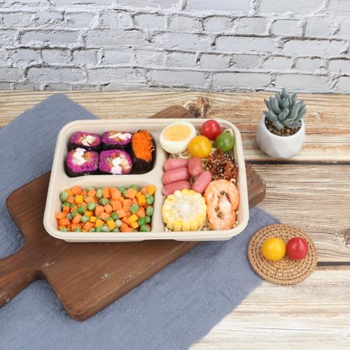 JAYEEY 23 oz 3 Compartments disposable plates with Lids Plant Fiber 50 Pack