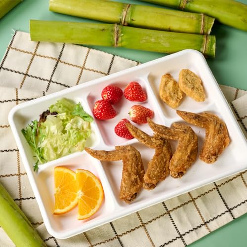 Turbo Bee Disposable 5 Compartment Plates, 100Pack Bagasse Divided Paper Trays, Heavy Duty Serving Plates for School Lunch, Meal Prep, Picnic and Buffet