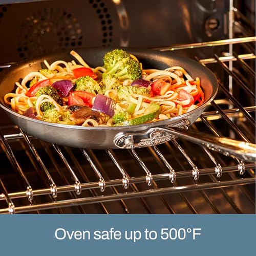All-Clad D5 10 Inch Brushed Stainless Steel Pro Non Stick Frying pan, 5-Ply Stainless Steel Pan, Induction, Oven Broiler Safe 500F, Pancake Egg Pan, Skillet, Professional Cookware, Silver