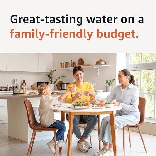 Amazon Basics Enhanced Replacement Water Filters for Water Pitchers, BPA-Free, WQA & NSF Certified, Compatible with Brita Water Pitchers & Drinking Water Filter Systems, 6 Month Filter Supply, 3-Pack