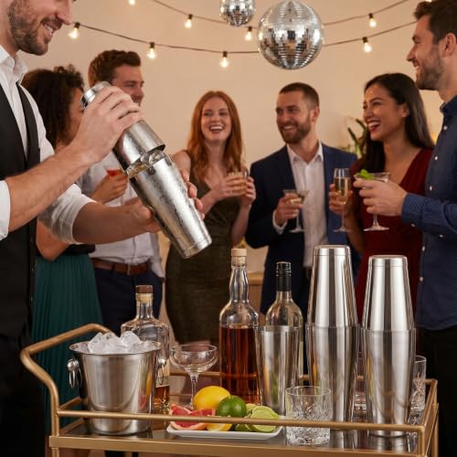 Dandat 16 Pcs Cocktail Shaker Boston Cocktail Shaker Set, Stainless Steel Martini Drink Shakers Bartending, 18 Oz & 28 Oz Bar Professional Shake Mixer Tin Tools for Bartender Cocktails (Silver)