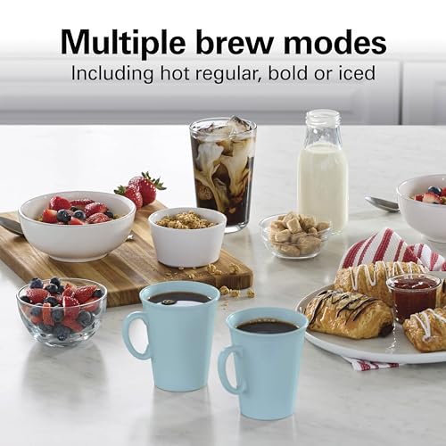 Hamilton Beach 12 Cup Programmable Hot & Iced Coffee Maker