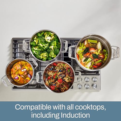 All-Clad Simply Strain Stainless Steel Multipot with Straining Lid, 6-Quart, Induction, Oven Broiler Safe 600F, Strainer, Pasta Strainer with Handle, Steamer Pot, Cookware, Home, Pots and Pans, Silver - My Kitchen Products