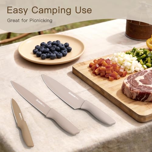 Astercook Knife Set, 13 Pieces Kitchen Knives Set with Healthy Anti-Rust Coating, Dishwasher Safe, Stainless Steel Chef Knife Sets with 6 Blade Guards, Fathers Day Gift for Men - My Kitchen Products
