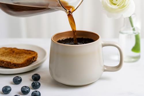 Ava Nord Ceramic Coffee Mugs Set of 4 | 12 oz Stoneware Coffee Cups | Lead-Free, Non-Toxic | Microwave and Dishwasher Safe | Comfortable Handle | Aesthetic Nordic Design for Tea and Latte | Sage Ash - My Kitchen Products