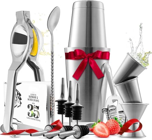 Bar Set Cocktail Shaker Set, Stainless Steel Mixology Bartender Kit, 16 Piece Cocktail Kit, Silver Cocktail