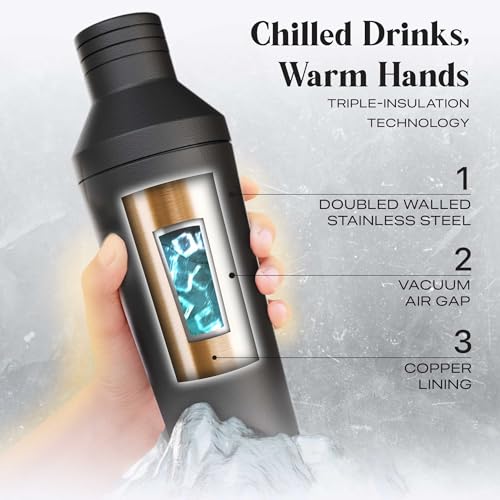BARE BARREL Insulated Cocktail Shaker Set | Double Wall Stainless Steel | Martini Shaker for Home Bar Bartending | Built-in Drink Measure System & Strainer, Travel Bag, Recipes | Gift Set (Matt Black) - My Kitchen Products