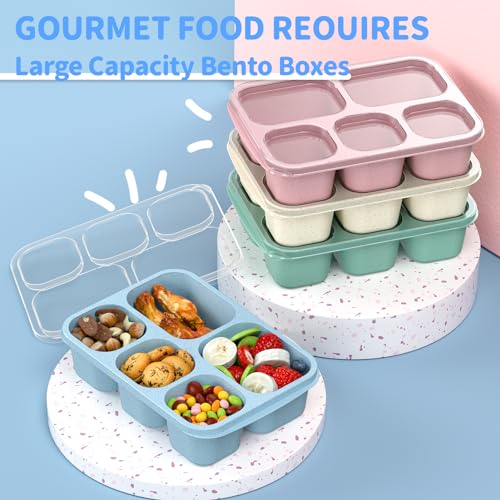 Bento Box Adult Lunch Box - 4 Pack, 5 - Compartment Meal Prep Container for Kids, Reusable Food Storage Snack Containers - Stackable for School, Work, and Travel (Wheat(Green/Blue/Pink/Beige)) - My Kitchen Products
