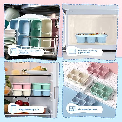 Bento Box Adult Lunch Box - 4 Pack, 5 - Compartment Meal Prep Container for Kids, Reusable Food Storage Snack Containers - Stackable for School, Work, and Travel (Wheat(Green/Blue/Pink/Beige)) - My Kitchen Products