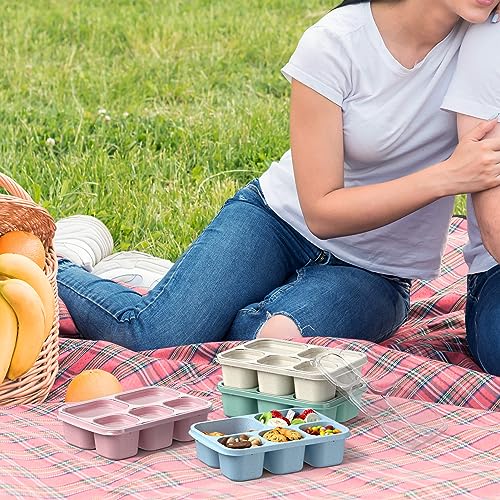 Bento Box Adult Lunch Box - 4 Pack, 5 - Compartment Meal Prep Container for Kids, Reusable Food Storage Snack Containers - Stackable for School, Work, and Travel (Wheat(Green/Blue/Pink/Beige)) - My Kitchen Products