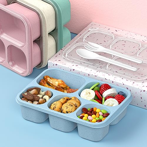 Bento Box Adult Lunch Box - 4 Pack, 5 - Compartment Meal Prep Container for Kids, Reusable Food Storage Snack Containers - Stackable for School, Work, and Travel (Wheat(Green/Blue/Pink/Beige)) - My Kitchen Products