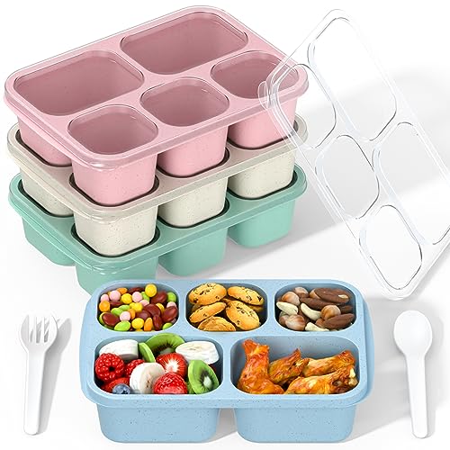 Bento Box Adult Lunch Box - 4 Pack, 5 - Compartment Meal Prep Container for Kids, Reusable Food Storage Snack Containers - Stackable for School, Work, and Travel (Wheat(Green/Blue/Pink/Beige)) - My Kitchen Products