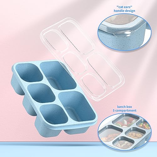 Bento Box Adult Lunch Box - 4 Pack, 5 - Compartment Meal Prep Container for Kids, Reusable Food Storage Snack Containers - Stackable for School, Work, and Travel (Wheat(Green/Blue/Pink/Beige)) - My Kitchen Products