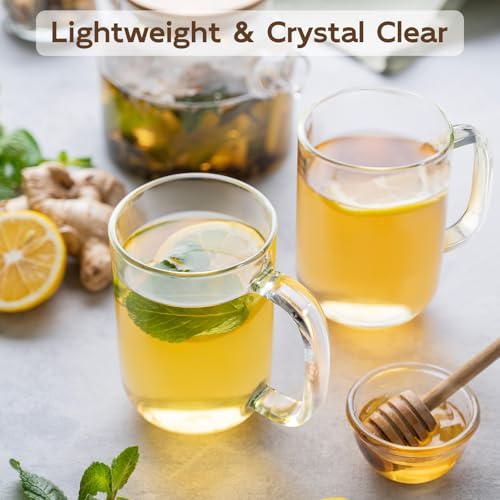 BWODYAY Glass Coffee Mugs, 20 oz Ice coffee cups, Large Clear Tea Cups Set of 2, Glass Mugs with Handles, Glass Cups for Latte, Cappuccino, and Tea - My Kitchen Products