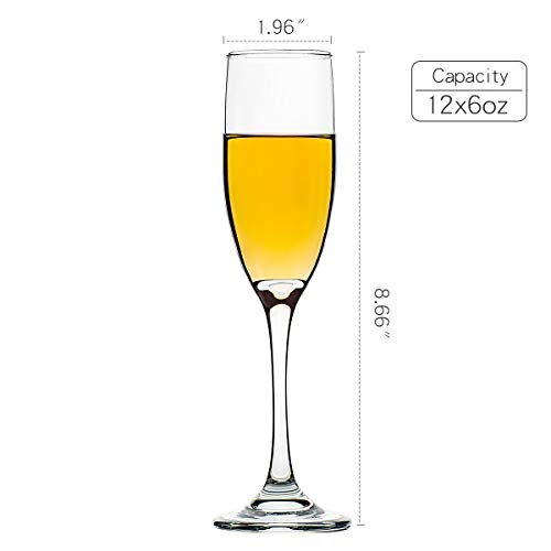 C CREST Set of 12, Champagne Glasses, 6 Ounce Champagne Flute, Lead-free Drinkware, Clear - My Kitchen Products