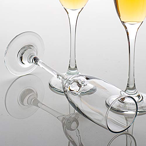C CREST Set of 12, Champagne Glasses, 6 Ounce Champagne Flute, Lead-free Drinkware, Clear - My Kitchen Products