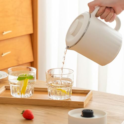 CCYLEZ Portable Electric Kettle 600ml Folding Travel Kettle Stainless Steel Tea Brewer Milk Frother Coffee Maker with Temperature Control for Travel Camping Office Home Use (US Plug 110V) - My Kitchen Products