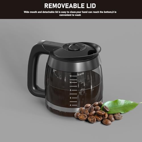 CE251 12-Cup Glass Carafe Pot Replacement Compatible with Ninja Coffee Brewer Maker, Fit Models CE251 CE201 CE201C CE200 CE200C Model XGLSLID200, 1 Pack - My Kitchen Products