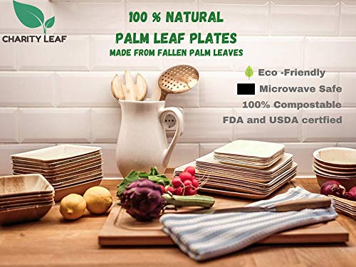 Charity Leaf Disposable Palm Leaf 14" x 10" Trays (10 pieces) Bamboo Like Serving Platters, Disposable Boards, Eco-Friendly Dinnerware For Weddings, Catering, Events - My Kitchen Products