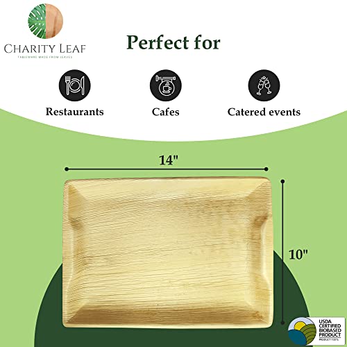 Charity Leaf Disposable Palm Leaf 14" x 10" Trays (10 pieces) Bamboo Like Serving Platters, Disposable Boards, Eco-Friendly Dinnerware For Weddings, Catering, Events - My Kitchen Products