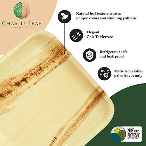 Charity Leaf Disposable Palm Leaf 14" x 10" Trays (10 pieces) Bamboo Like Serving Platters, Disposable Boards, Eco-Friendly Dinnerware For Weddings, Catering, Events - My Kitchen Products