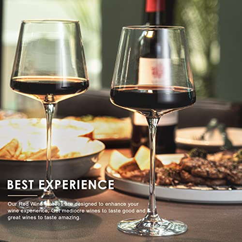 coccot Wine Glasses Set of 6,Crystal White Wine Glasses,Red Wine Glass Set, Wine Glasses Long stem,Clear Lead-Free Premium Blown Glassware (18.5oz,6 pack) - My Kitchen Products