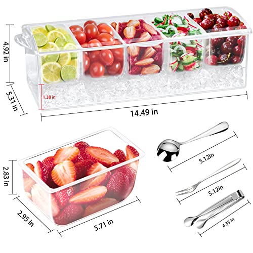 Condiment Tray with Stainless Steel 5 Spoons, 5 Forks and 1 Clip, Chilled Condiment Server, Condiment Server, Bar Garnish Holder on Ice, Bar Accessories Fruit and Salad with Removable Trays and Lid - My Kitchen Products
