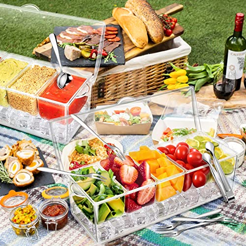 Condiment Tray with Stainless Steel 5 Spoons, 5 Forks and 1 Clip, Chilled Condiment Server, Condiment Server, Bar Garnish Holder on Ice, Bar Accessories Fruit and Salad with Removable Trays and Lid - My Kitchen Products