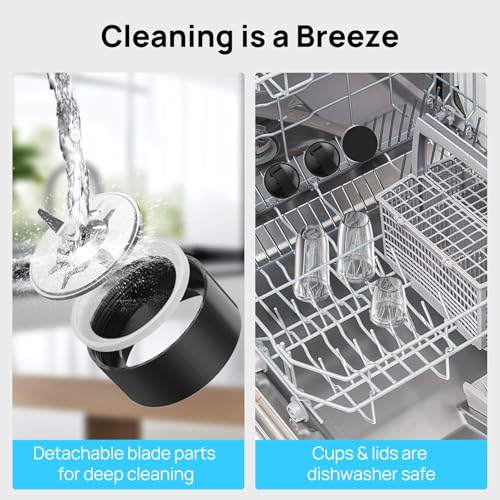 Consciot CB08 11-Piece Blender for Kitchen and Personal Size, Blend Shakes and Smoothies, Frozen Drinks, Baby Food, Spreads & More, 3 Portable To-Go Cups & 2 Spout Lids & 1 Solid Lid, 900 Peak Watts - My Kitchen Products