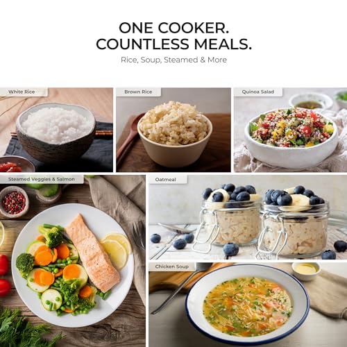CUCKOO Basic Rice Cooker 10-Cup Uncooked / 20-Cup Cooked, Large Rice Maker and Warmer with Nonstick Inner Pot, Easy to Use with Auto Keep Warm, Includes Steam Tray, White (CR-1095) - My Kitchen Products