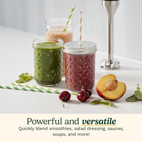 Cuisinart CSB-179 Smart Stick Variable Speed Hand Blender, Stainless Steel - My Kitchen Products