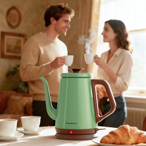 DmofwHi Gooseneck Electric Kettle(1.0L), 100% Stainless Steel BPA Free Classic Pour Over Coffee Kettle | Tea Kettle - Green - My Kitchen Products