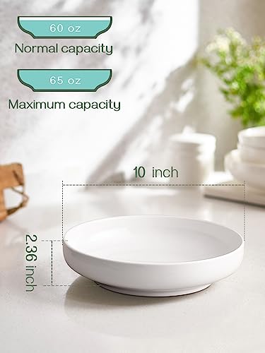 DOWAN Pasta Bowls, 65 oz Large Salad Bowls Set of 2, 10'' Serving Bowls for Wedding, Ceramic Shallow Bowl Plates, Serving Dishes for Entertaining, Microwave Dishwasher Safe - My Kitchen Products