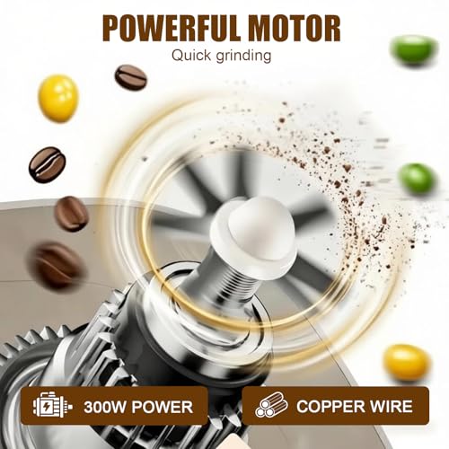 Electric Grain Mill Grinder - 304 Stainless Steel Grain Grinder Flour Mill Grinder for Home Fit for Grinding Wheat, Corn, Oats, Millet, Coffee Beans (Silver, 495g) - My Kitchen Products