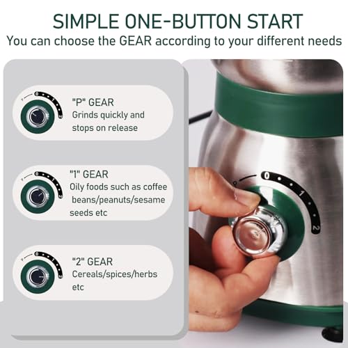 Electric Grinder for Kitchen - 500W Grain Mill with 3 Stainless Steel Blades, Versatile Spice Grinder for Coffee, Grinding Spices, Bean, Grains, Nuts (Green) - My Kitchen Products