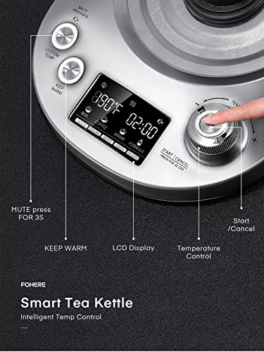 Electric Tea Kettle, 9 Temperature Control Presets Glass Kettle, 1200W Tea Pot with Removable Infuser, 2 Hours Keep Warm, 1.7 Liter Electric Kettles, Borosilicate Glass & Stainless Steel - My Kitchen Products