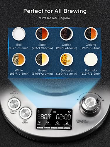 Electric Tea Kettle, 9 Temperature Control Presets Glass Kettle, 1200W Tea Pot with Removable Infuser, 2 Hours Keep Warm, 1.7 Liter Electric Kettles, Borosilicate Glass & Stainless Steel - My Kitchen Products