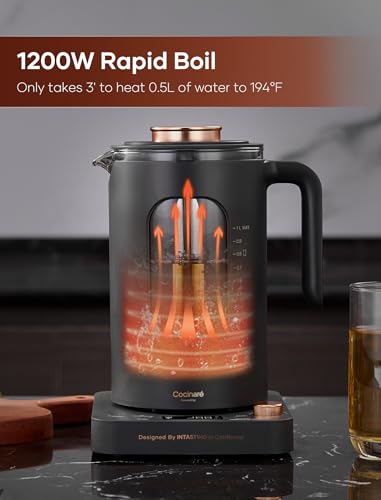 Electric Tea Kettle, INTASTING Glass Electric Kettle with tea Infuser and Precise knob temperature control, 1200W Fast Heating, BPA-Free, Easy to Clean, 1 Liter (Dark Gray) - My Kitchen Products