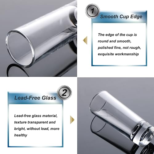 Farielyn-X Clear Heavy Base Shot Glasses 12 Pack, 2 oz Tall Glass Set for Whiskey, Tequila, Vodka - My Kitchen Products