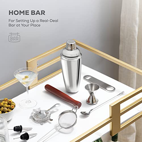 FineDine 10-Piece Cocktail Shaker Set with Travel Bag - Stainless Steel Shaker Set Bartender Kit - Mixology Bartender Kit - Strainer, Muddler, Jigger, Bar Spoon, Bottle Opener, Pour Spouts - Bar Set - My Kitchen Products